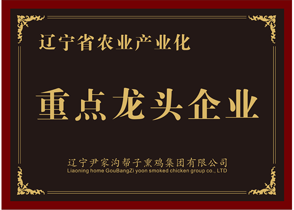 重點(diǎn)龍頭企業(yè)